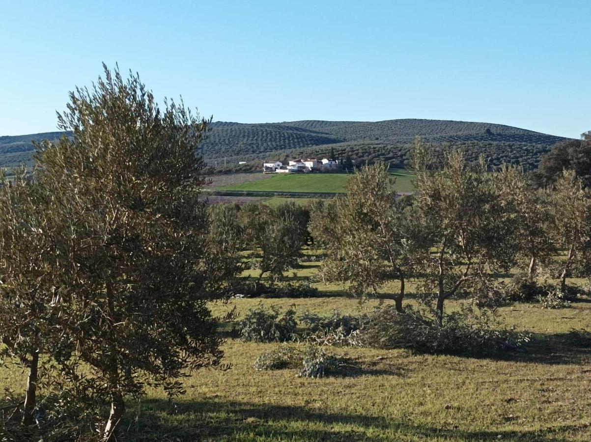 ויינואבה דל טראבוקו Casa Celeste Trabuco מראה חיצוני תמונה