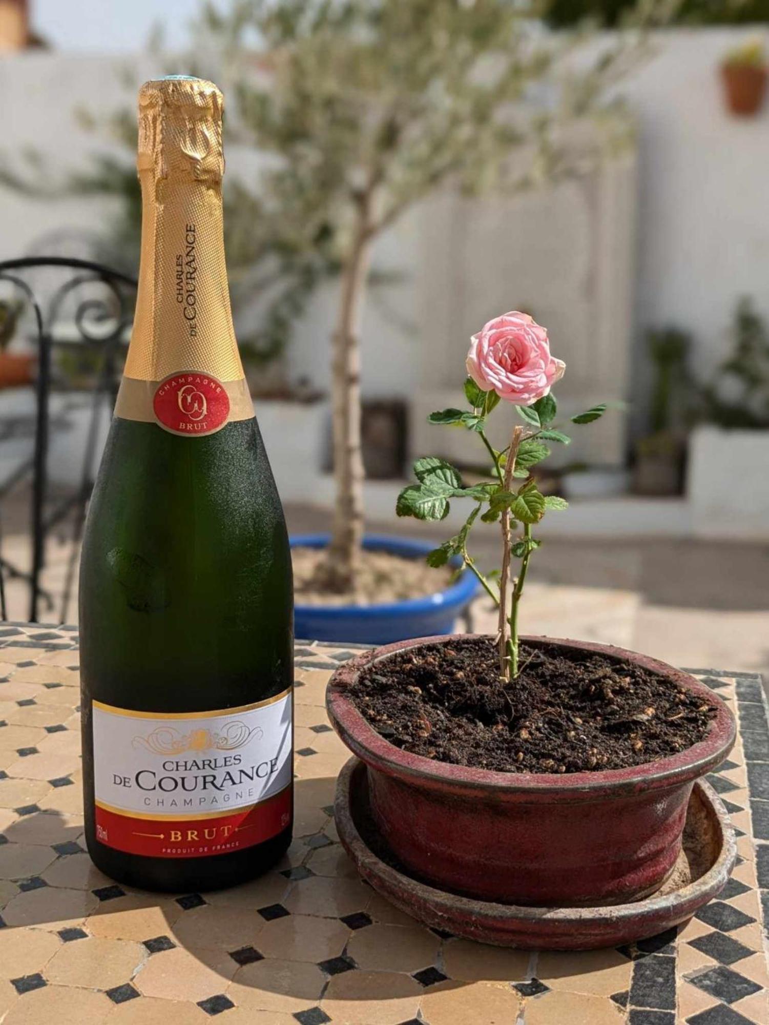 ויינואבה דל טראבוקו Casa Celeste Trabuco מראה חיצוני תמונה